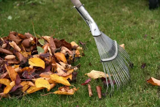 Уборка территории от листьев в Минске и Минской области